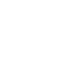 Environmental Hazard Icon